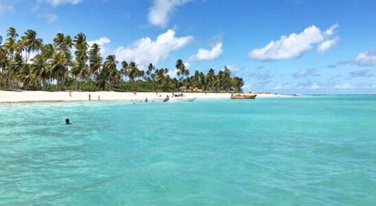 Conheças as praias de Maragogi, o Caribe Brasileiro