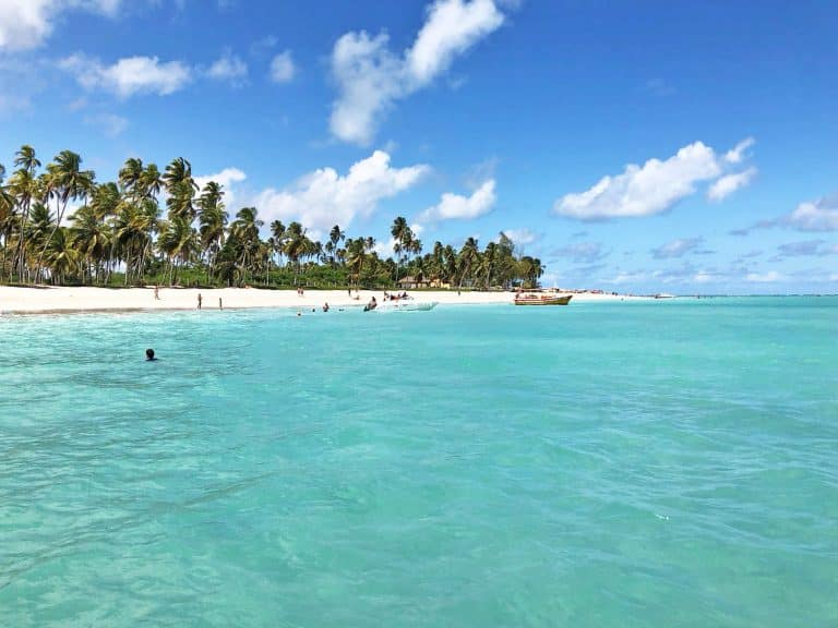 Conheça agora as maravilhosas praias de Maragogi as quais possuem águas que parece que você está no Caribe de tão lindas.