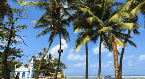 Conheça a Praia do Forte, um paraíso baiano.