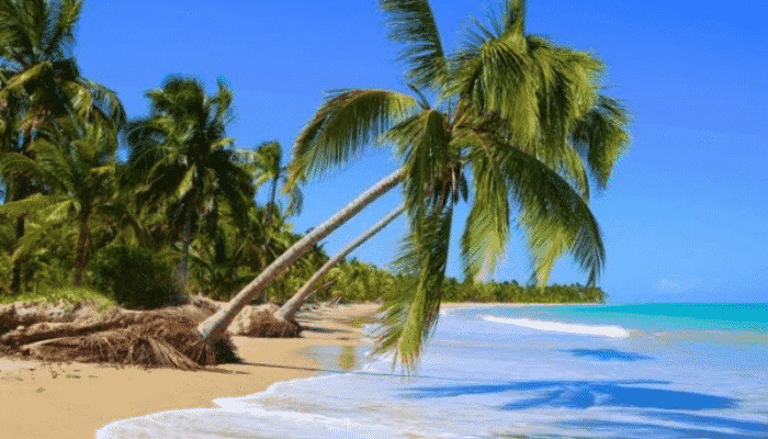 Se você quer praia perfeita com mar caribenho e ótima infraestrutura com vários beach clubs e restaurantes bons, escolha a Praia do Patacho.