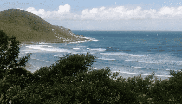 Quer conhecer mais sobre a Praia Do Rosa, localizada em Santa Catarina? Então acompanhe este artigo que vamos contar tudo.