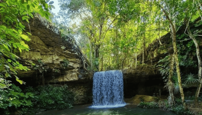 Taquaruçu possui mais de 80 cachoeiras catalogadas, além de lindas grutas, mirantes e corrégos de águas cristalinas, confira os detalhes.