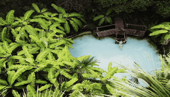 Os Destinos mais procurado em Tocantis são os fervedouros do Jalapão, suas belezas naturais e tons de água são incríveis, veja os detalhes.