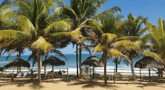Imbassaí é a primeira praia onde começa a Linha Verde, que reúne as mais lindas praias da Bahia.