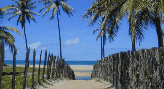 Confira a lista de praias sem aglomerações para curtir as férias no Brasil.