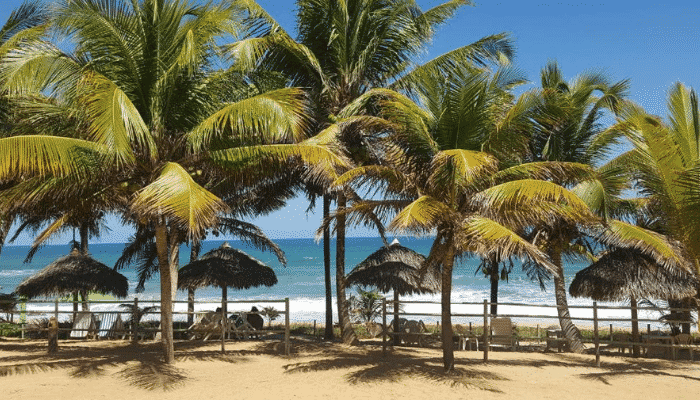 As praias que ficam na rota turística Linha Verde, são excelentes para quem gosta de conexão com a natureza ou resorts luxuosos. Saiba mais.