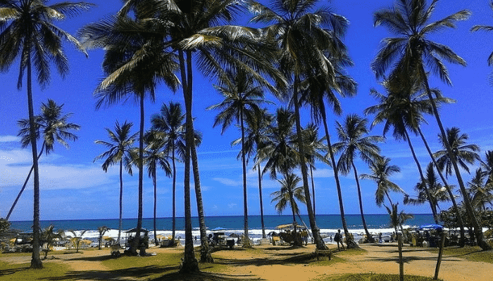 Itacaré fica na região da Costa do Cacau, conheça agora as 9 melhores praias e as características de cada uma delas.