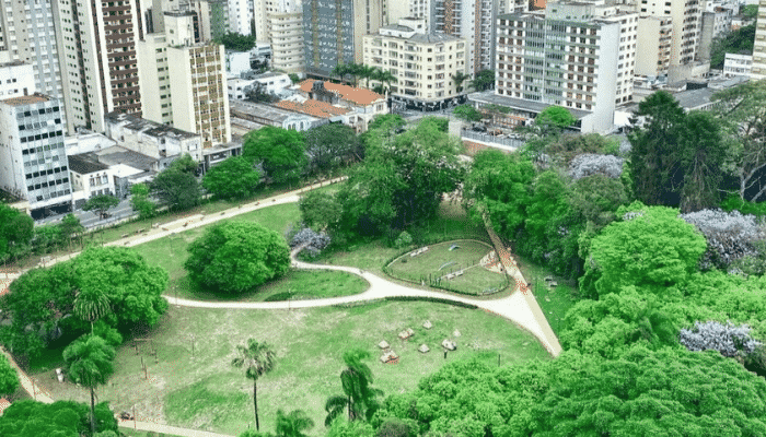 Confira agora como aproveitar o máximo o Parque Augusta, um lugar muito gostoso, com muita natureza que fica no Centrão de São Paulo.