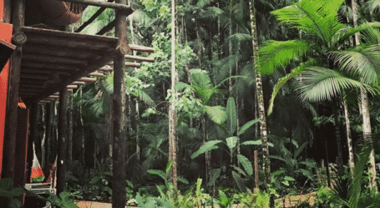 Vista do glamping Margarito em São Paulo.