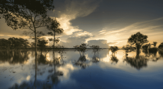 Pôr do sol no Pantanal, um espetáculo imperdível para vivenciar durante a viagem.