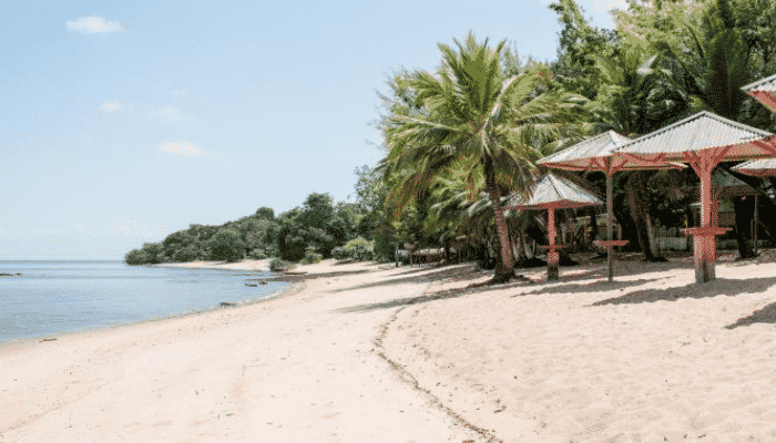 Conheça as belezas naturais e as praias paradisíacas que a Ilha de Cotijuba, localizada no extremo oeste de Belém tem a oferecer.