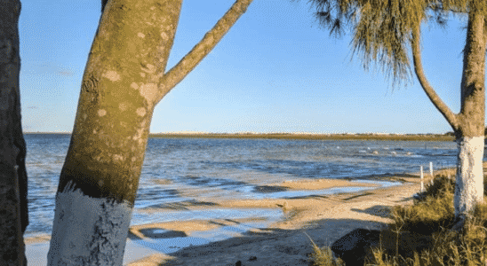 Desfrute de dias de descanso em meio a natureza na Lagoa do Bacupari.