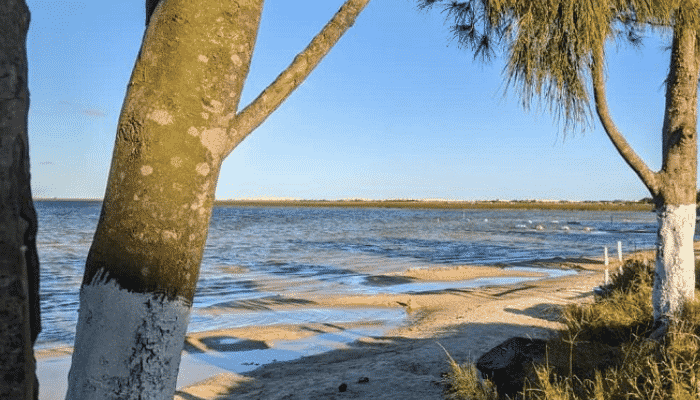 De férias ou até mesmo para passar o final de semana com a família, a Lagoa de Bacupari é um belo destino para aproveitar os dias quentes.