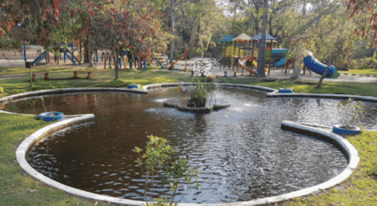 Parque Natural Municipal, uma área verde com muito espaço para descansar e se divertir em Pouso Alegre