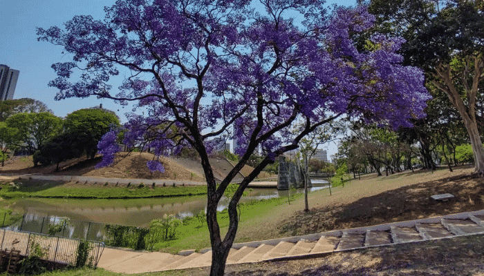 Bauru é uma das cidades mais populosas do centro-oeste de SP. Apesar disso, é um bom destino para conhecer aos finais de semana, saiba mais.