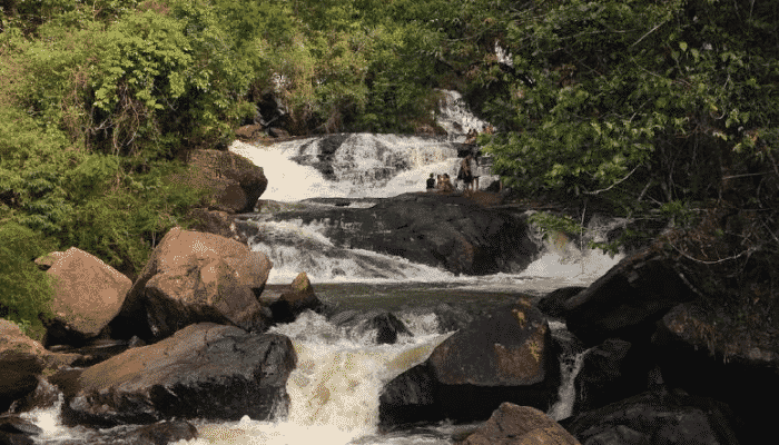 Com várias atrações relacionadas à natureza, Joanópolis é o destino ideal para quem gosta de tranquilidade ou também aventura. Veja mais.