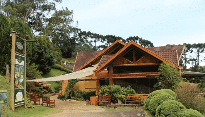 A pequena cidade de Santo Antônio do Pinhal é uma excelente opção para curtir dias de descanso e natureza, confira os detalhes.