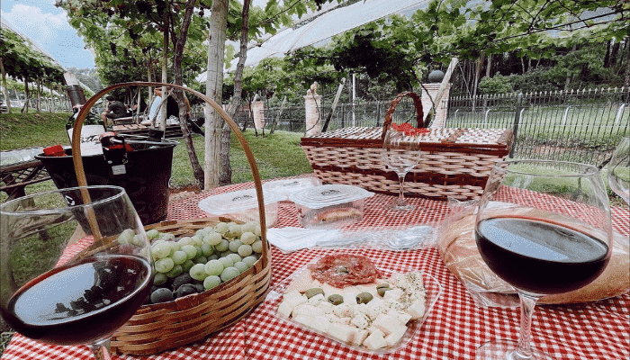 Seja um dia ou um final de semana inteiro, a Rota do Vinho São Roque é uma experiência incrível de cultura, natureza e bons vinhos, confira.