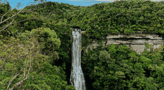 A linda Cachoeira do Salto do Zimbro, cartão postão de Benedito Novo com seus 76m de queda d´água.
