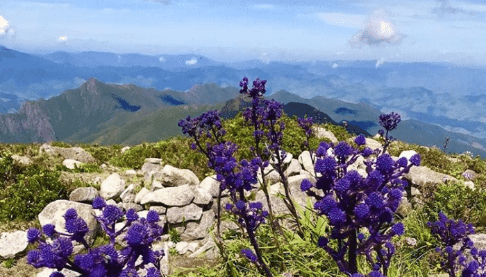 Se você gosta de muita natureza, cultura e história, a cidade de Passa Quatro é um excelente destino, confira as atrações.