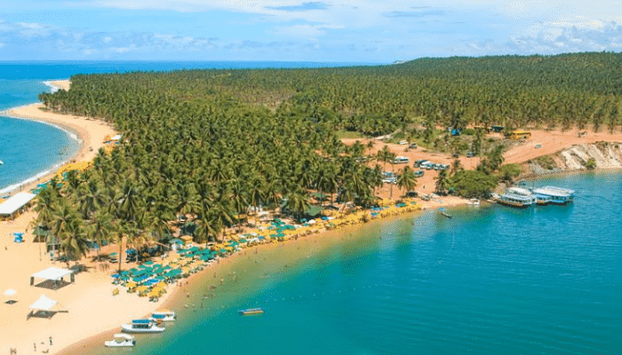 Localizada a 100km da capital Maceió, Coruripe possui belissímas praias que você precisa conhecer pelo menos 1 vez, confira quais são elas.