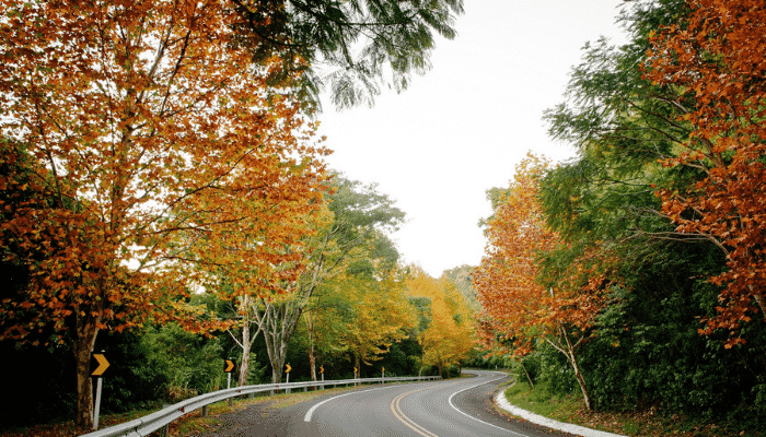 A Rota Romântica é um caminho com belas paisagens pela RS 239, passando por 14 municípios. Confira as melhores dicas e monte seu roteiro.