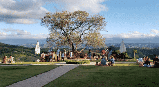 Piquenique na Vinícola Terrassos, um dos melhores passeios no interior de Amparo.