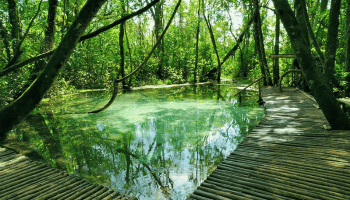 Brotas é a cidade perfeita para quem gosta de aventura e ecoturismo, confira as principais atrações de 5 lugares maravilhosos na cidade.