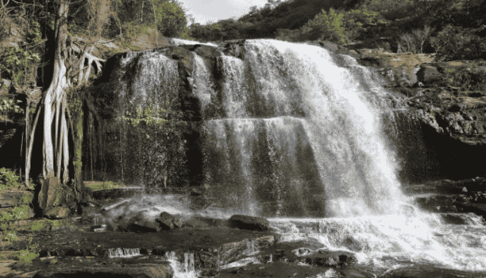 Ubajara é um excelente destino de ecoturismo, aventura e descanso. Confira as principais atrações e monte seu roteiro.