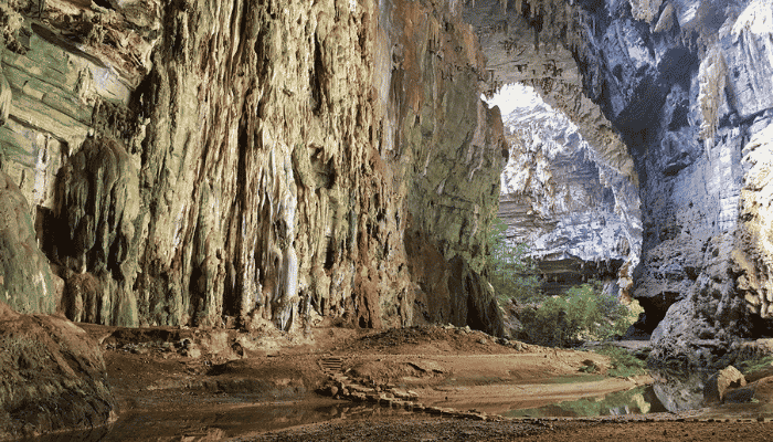 Com mais de 140 opções de grutas e cavernas, o Parque Nacional Cavernas de Peruaçu, é um patrimônio importante para o Brasil e o mundo.