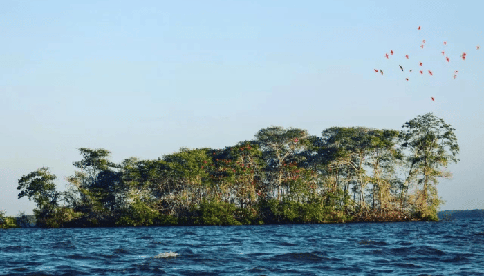 Parnaíba é um dos destinos mais bonitos do Nordeste, onde tem rio, praias, lagoas e os lençóis piauenses, confira os detalhes.