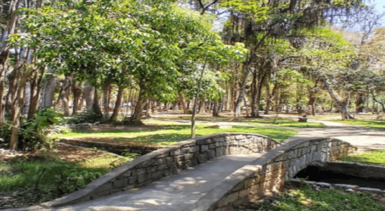 Bosque da Princesa, uma linda opção de lazer em Pindamonhangaba.