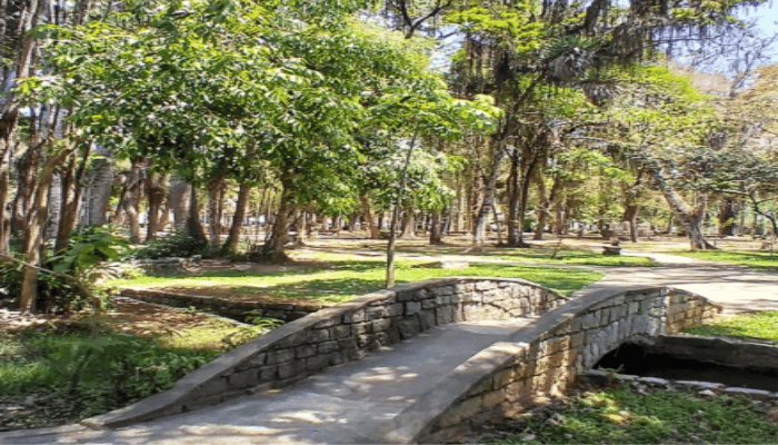 Pindamonhangaba é uma cidade do interior de São Paulo, que possui atrações para todos os gostos, confira as dicas e monte seu roteiro.