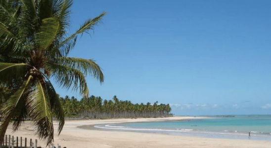 Praia da Barra de Camaragibe, um paraíso de coquerais com mar calmo e cristalino.
