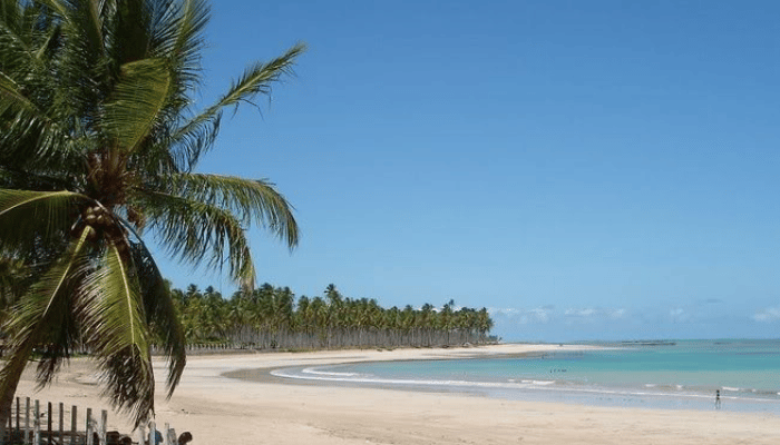Se você busca por uma praia linda, tranquila, mar calmo, morno e cristalino, piscinas naturais, então precisa conhecer a Barra de Camaragibe.