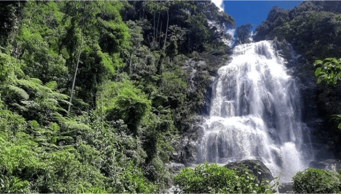 Santa Rita de Jacutinga é a Cidade das Cachoeiras, então, se você gosta de trilhas, aventura e banhos de cachoeiras, confira os detalhes.