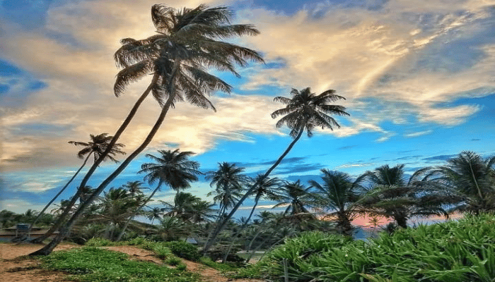 Camaçari possui belas praias e uma aldeia Hippie incrível, confira os detalhes e monte seu roteiro de férias ou de final de semana na Bahia.