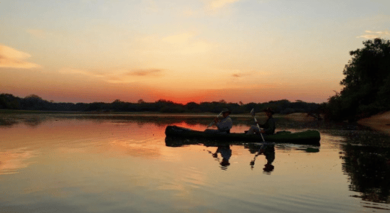 Parque Estadual do Pantanal Rio Negro, uma excelente atração em Aquiduana.