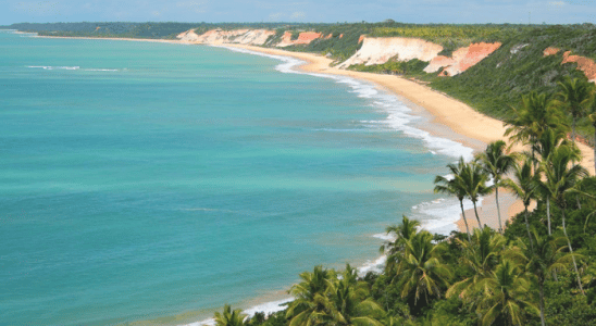 A bela Praia da Pitinga com suas belas falésias, coqueiros e mar azul.