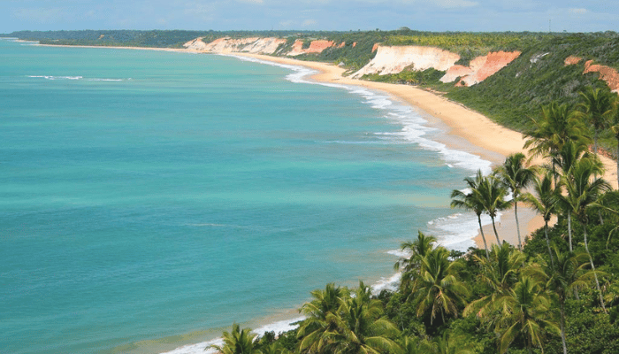 A Praia da Pitinga é ótima para banhos, com águas quentinhas e cristalinas, possui piscinas naturais e ótimas barracas, confira os detalhes.