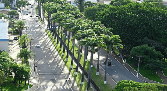 Avenida Brasil, a mais bonita e famosa de Americana.