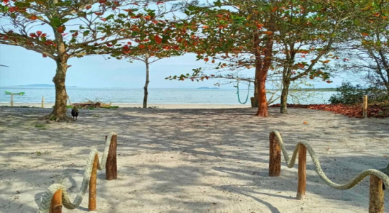 Vista bonita em frente a Pousada da Carla na Ilha de Superagui.
