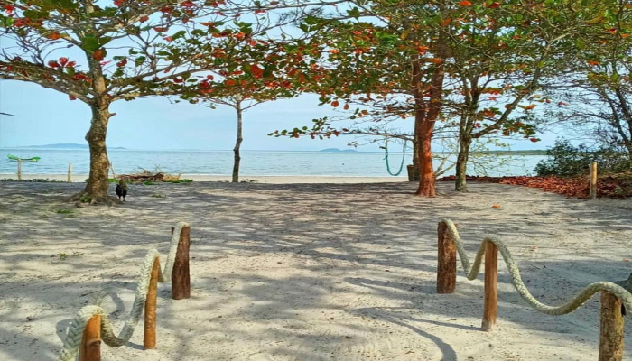 A Ilha de Superagui fica na cidade de Guaraqueçaba, é um Parque Nacional e considerado Patrimônio Natural pela Unesco, confira os detalhes.