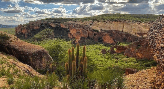 Uma das vistas do Parque Nacional Serra da Capivara, em São Raimundo Nonato.