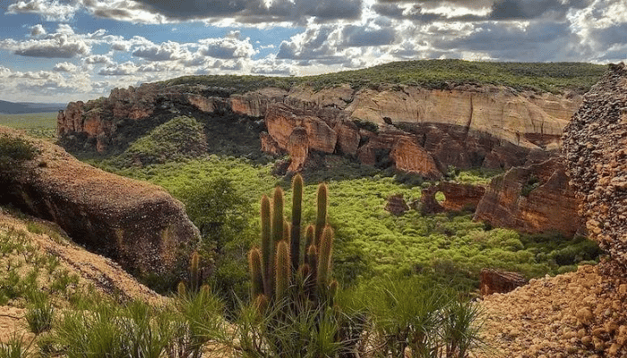 São Raimundo Nonato é a cidade base para o Parque Nacional Serra da Capivara, além de ter o Museu do Home Moderno entre outras atrações.