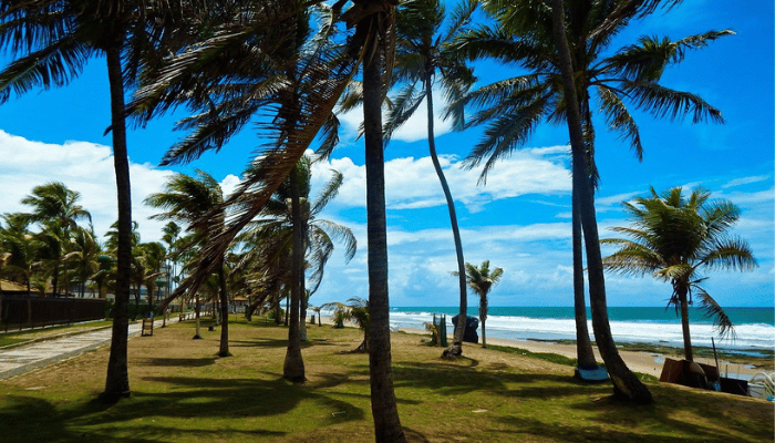 Lauro de Freitas é vizinho de Salvador, com muitas oportunidades de empregos e belas praias, confira as dicas e monte seu roteiro.