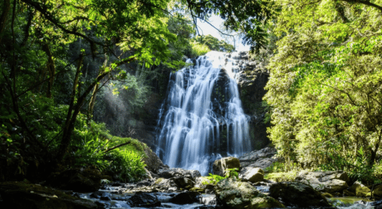 Cachoeira do Coxo, uma das belas cachoeiras em Apiúna.