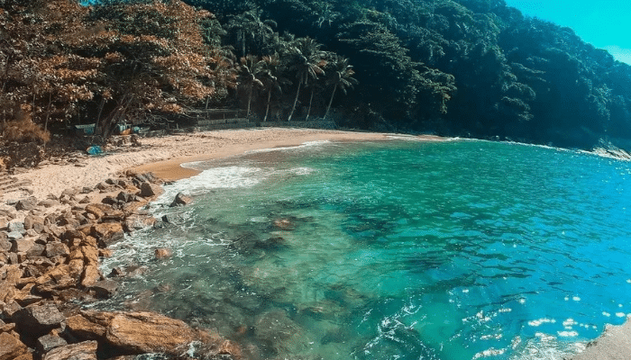 A Praia do Éden é mais um pequeno paraíso no litoral paulista, com águas calmas, claras e rodeada de Mata Atlântica, confira os detalhes.