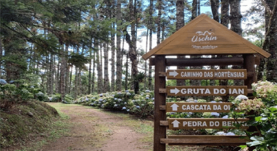Um pedacinho de como é o Parque Oschin em Monte Verde.