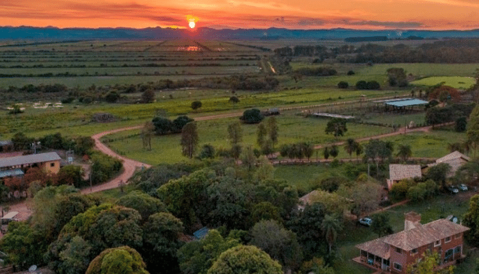 Miranda é uma das cidades mais antigas do Mato Grosso do Sul, bem como, é uma das portas de entrada para o Pantanal, confira as dicas.